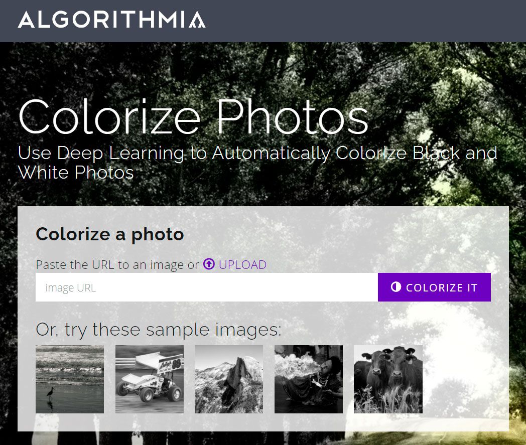 Colorizza foto vecchie online su Algorithmia..
