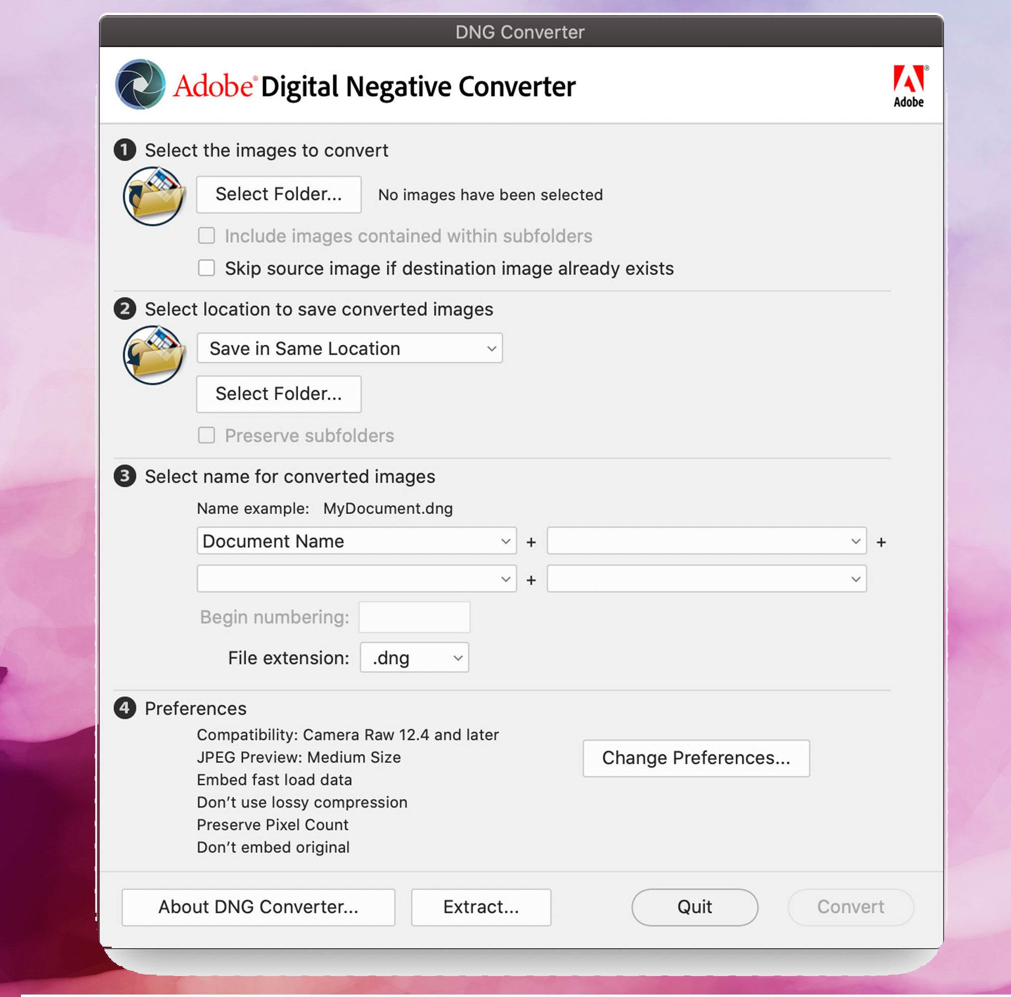 Screenshot di Adobe DNG Converter, Converti immagini DNG in JPEG..