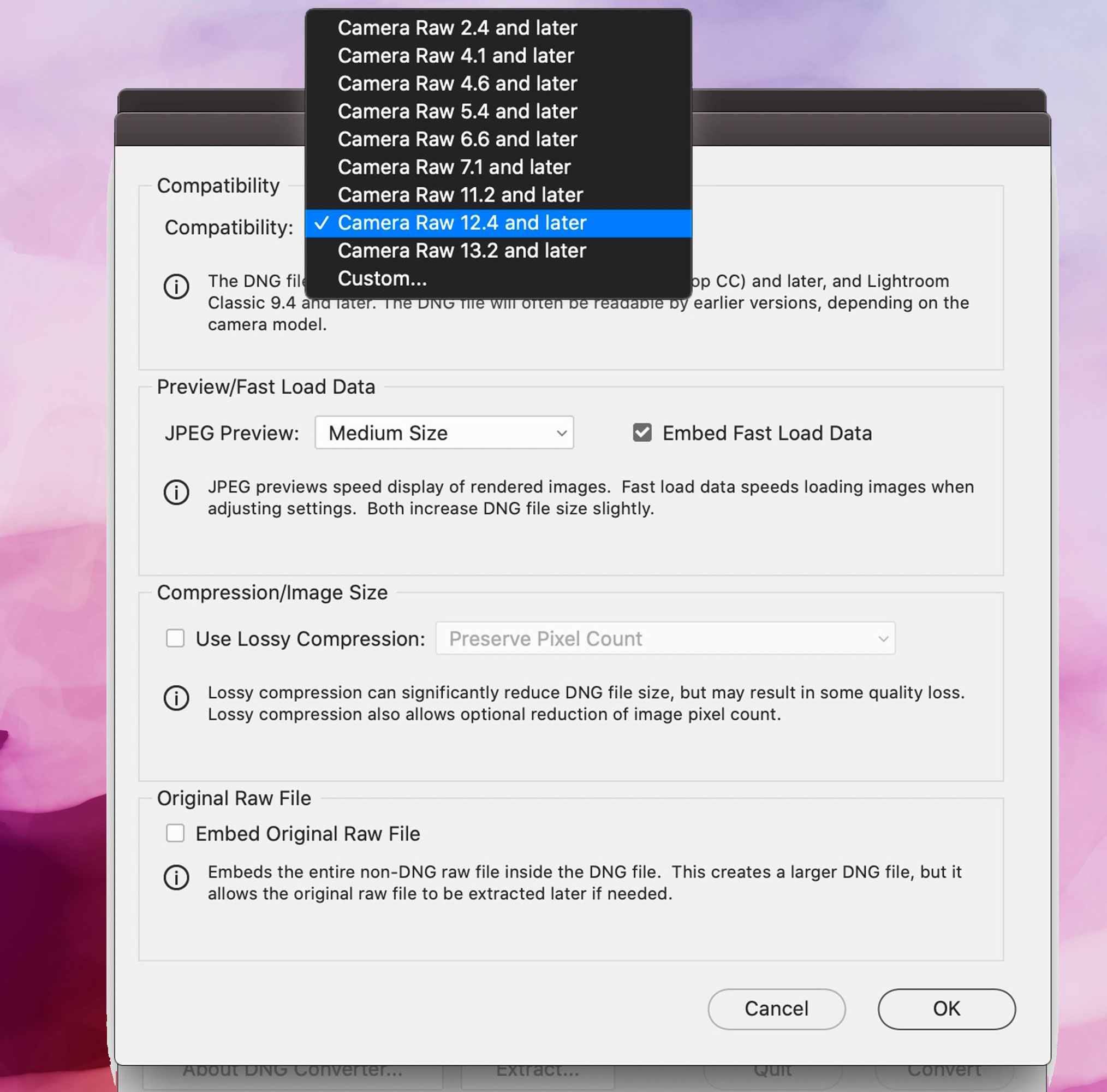 Screenshot di Adobe DNG Converter, Preferenze di compatibilità..