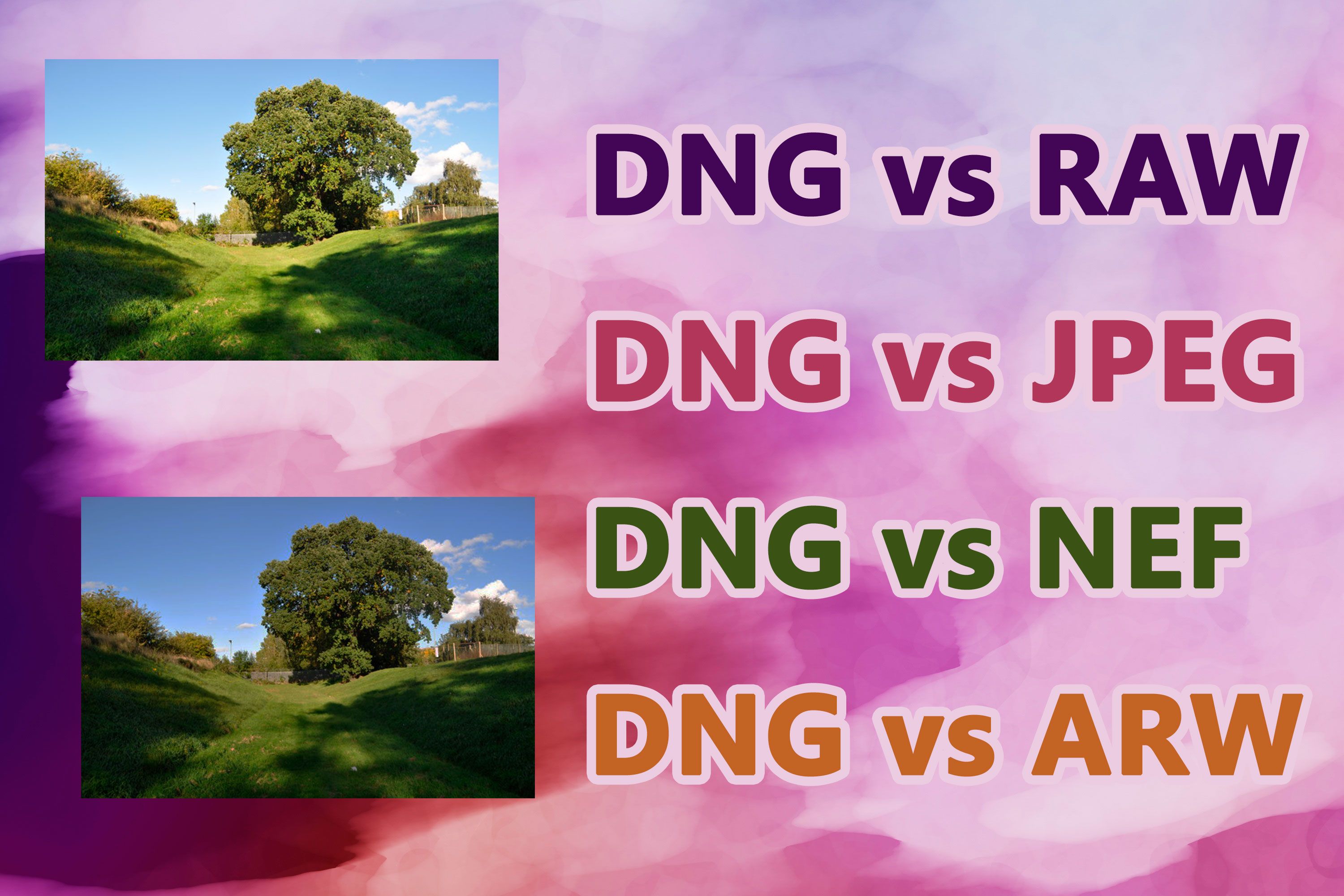 Formati DNG vs RAW..