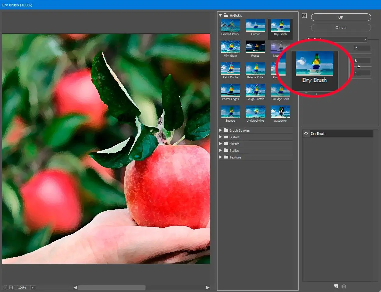 Photoshop seleziona filtro Pennello asciutto..