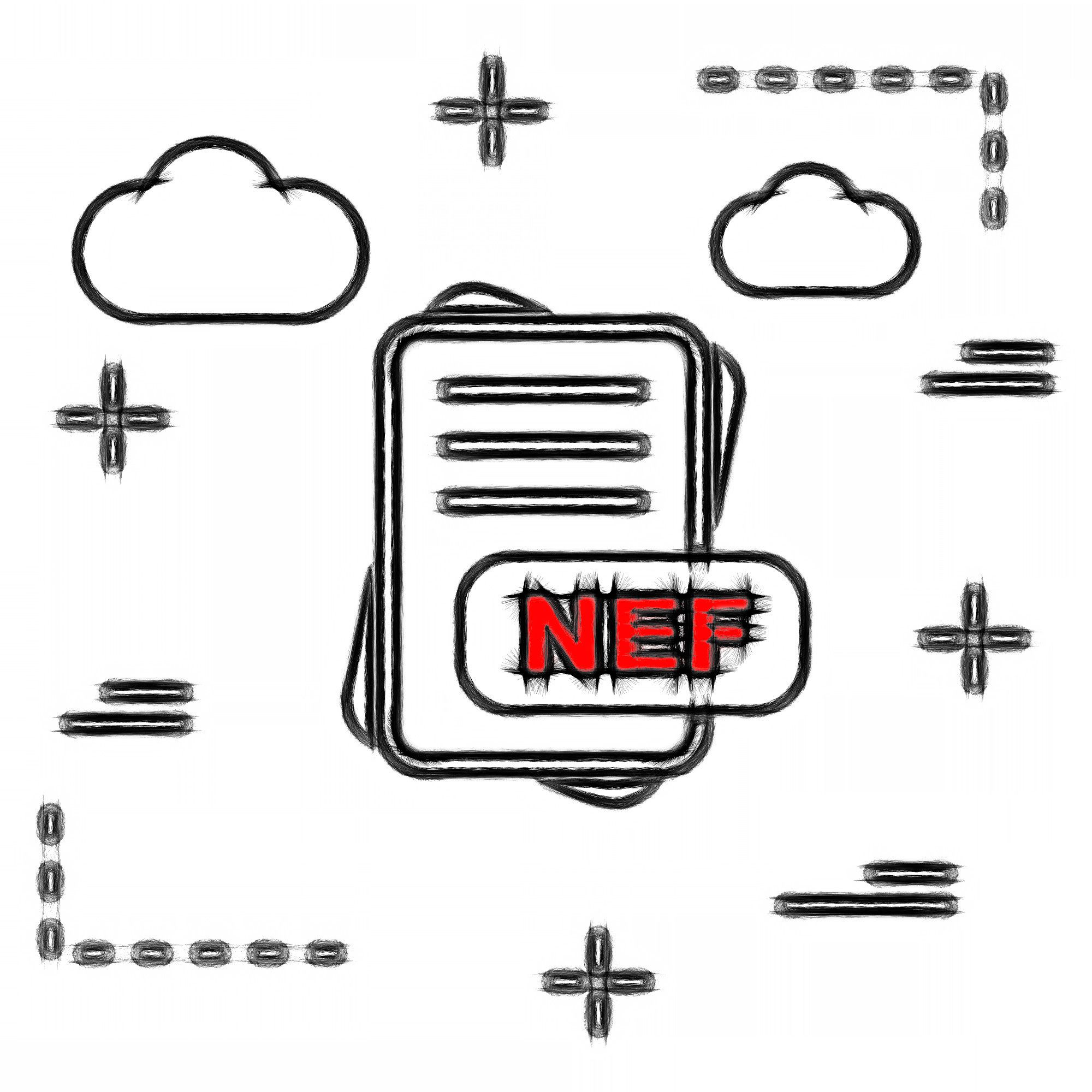 Formato di file NEF..