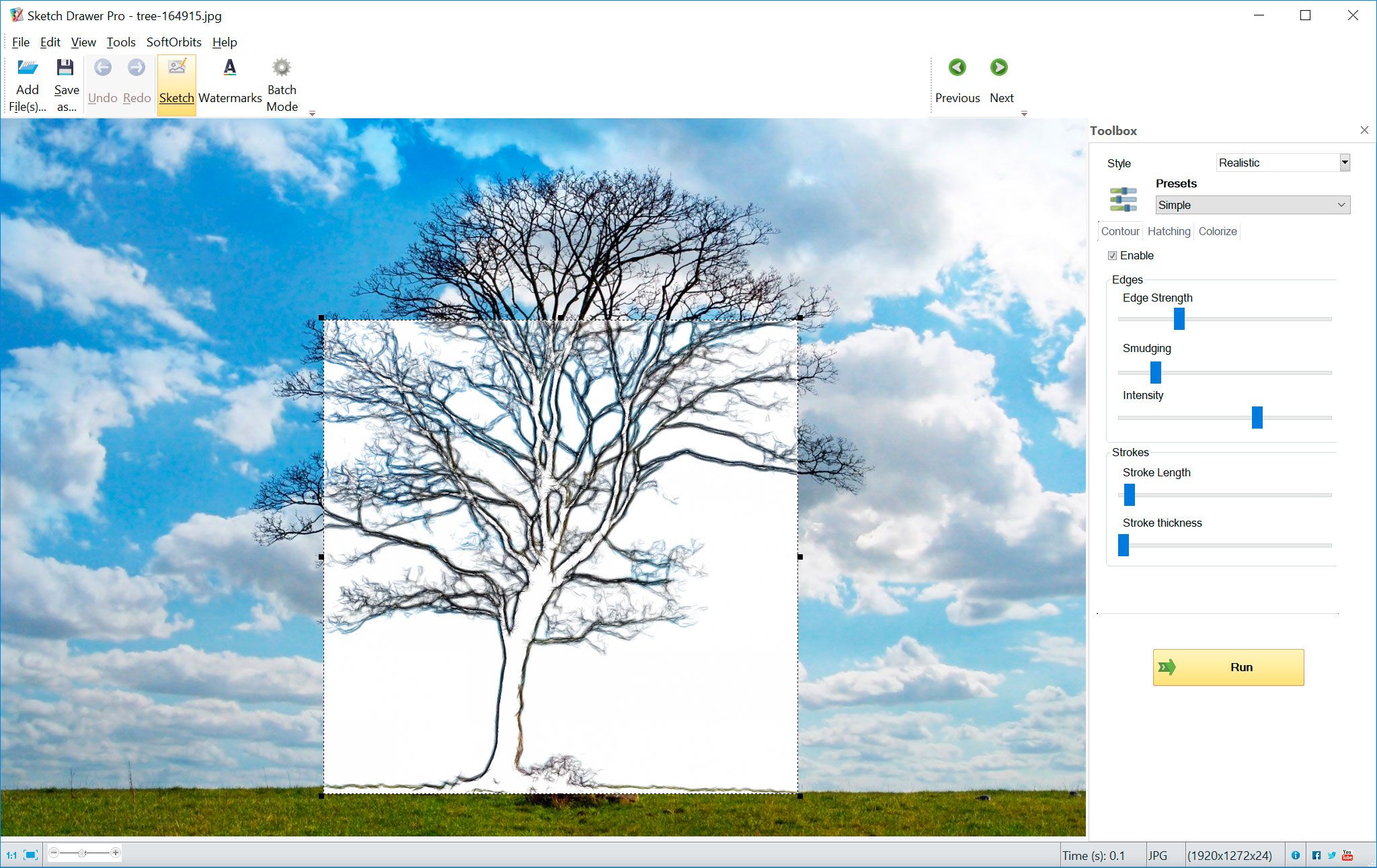 Trasforma una foto di un albero in un disegno a linee..