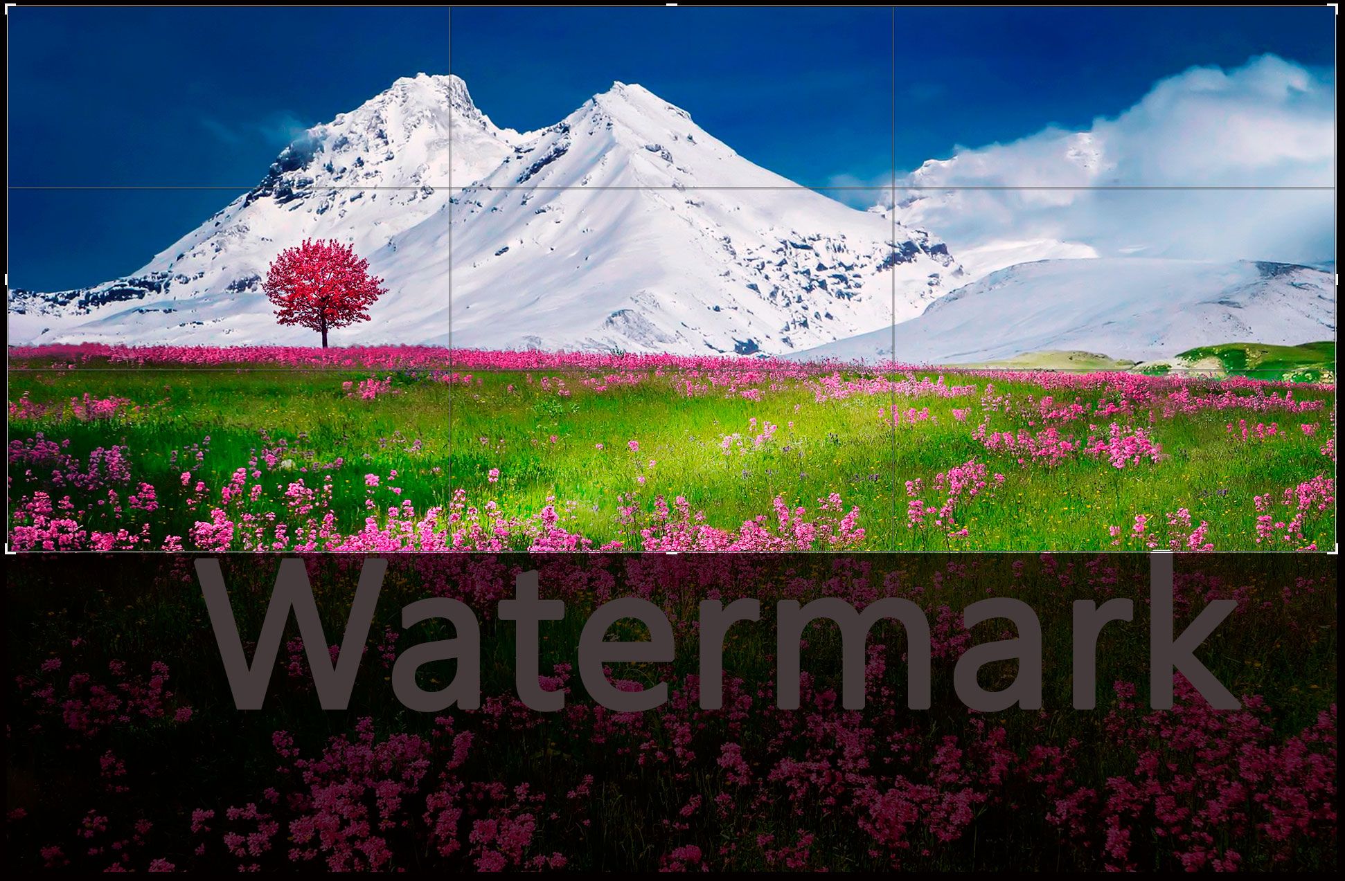 Metodi alternativi per rimuovere il watermark di Adobe Stock..