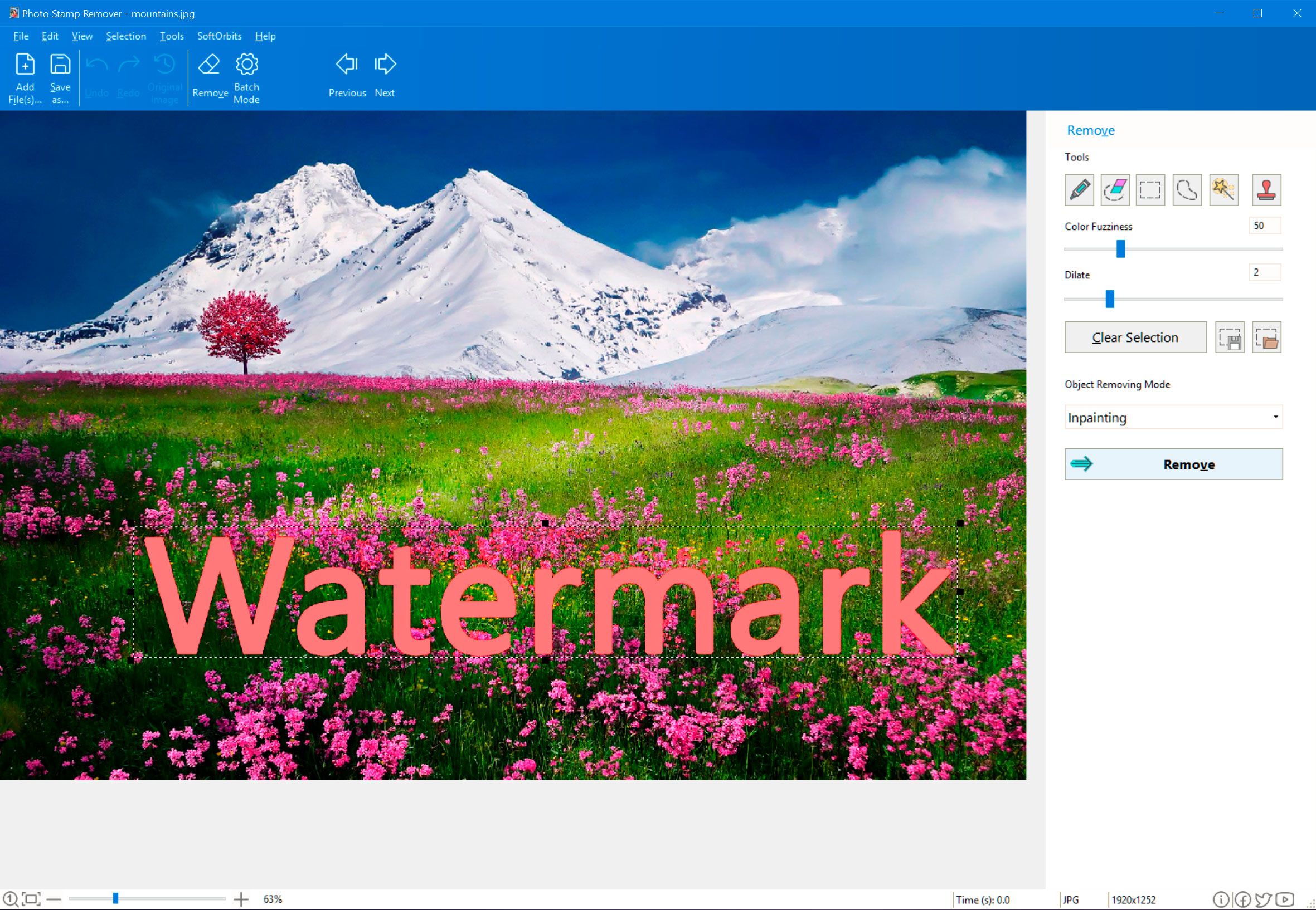 Strumento Marker per rimuovere il watermark di Adobe Stock..