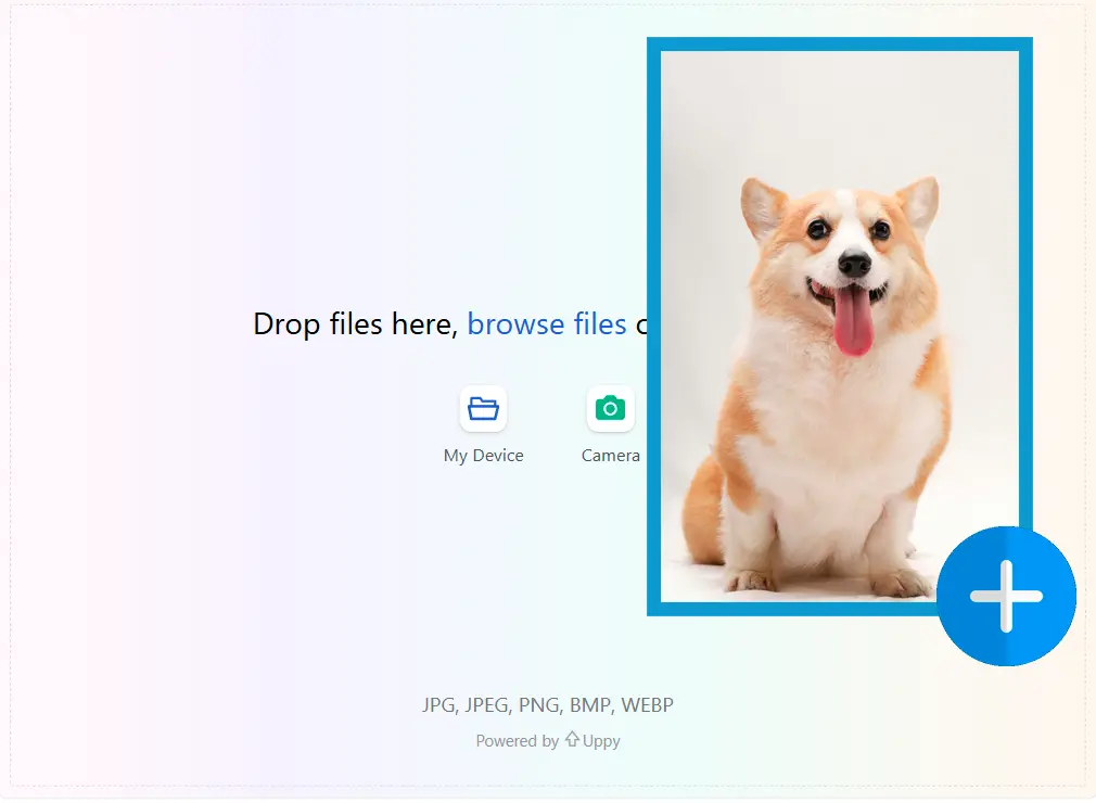Carica la Tua Immagine.