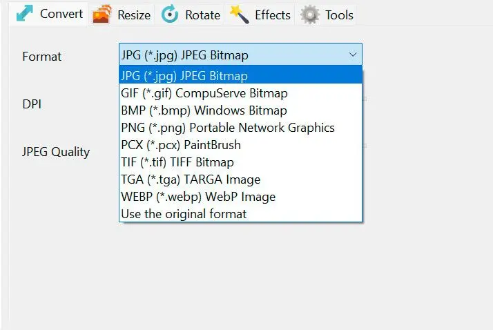 Seleziona JPG come output.