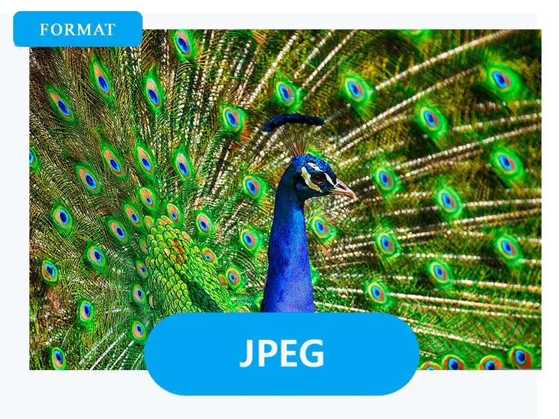 Scegli JPG come output.