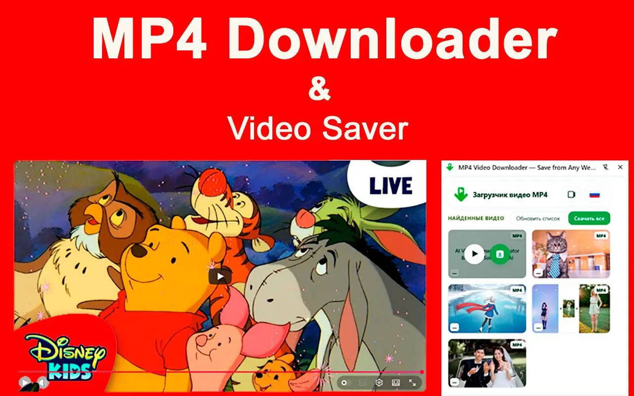 Limitazioni di MP4 Downloader ed estensione Chrome.