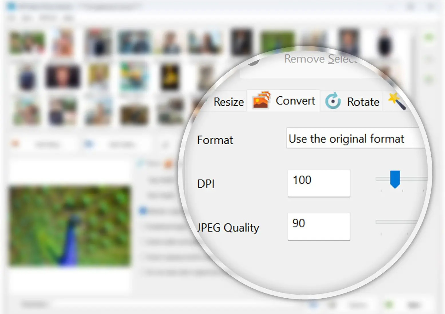 Imposta JPG come formato di output.